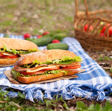 Traditional Ciabatta Sandwich Lifestyle Picnic Lunch With Vegetables, Bacon, Salad, Cheese And Onion