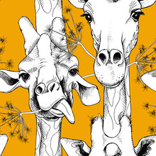 Seamless Pattern With The Image Of Giraffes Munching Grass. Vector Black And White Illustration.