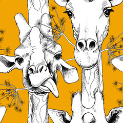 seamless pattern with the image of giraffes munching grass. vector black and white illustration.