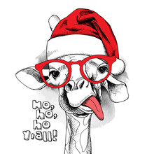 The Christmas Poster With The Image Giraffe Portrait In Santa's Hat And In The Glasses. Vector Illustration.