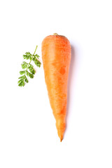 Poster - Carrot with leaves isolated.