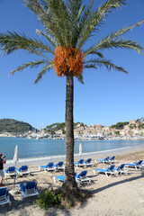 Sticker - Strand in Port de Soller, Mallorca