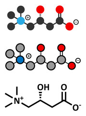 Poster - Carnitine molecule, chemical structure.