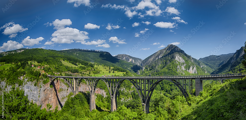 Panorama of the Durdevica Tara Bridge on Tara River - obrazy, fototapety, plakaty 