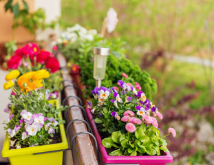 Sticker - Colorful flowers in pots on the balcony