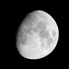Wall Mural - moon 10-days old, high contrast