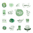 Set of organic food hand drawn watercolor badgesand elements. Vector illustrations for organic food and drink, restaurant and organic products.