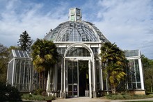 Palm House In Geneva Botanical Gardens