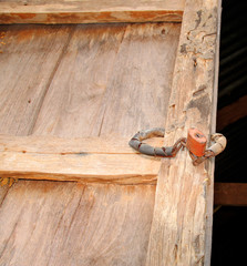 termite damage wooden wall and master key