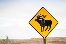 Yellow Road Sign Warning Against Wild Animals