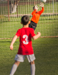 Wall Mural - boy goalkeeper defends