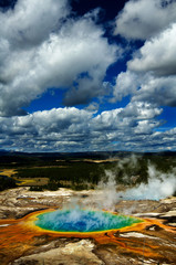 Wall Mural - Grand Prismatice Pool Steam Yellowstone Tour Sight