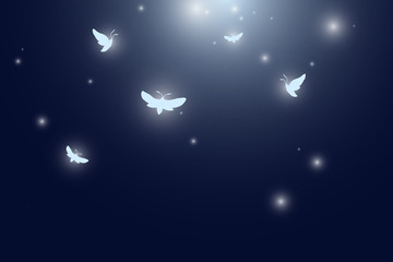 Wall Mural - moths flying at night vector