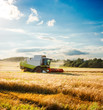 © Maryia Bahutskaya - Combine Harvester on a Wheat Field. Agriculture.