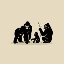 Gorilla Family