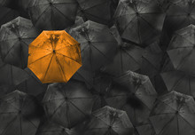 Orange Umbrella On Black Different Business Concept