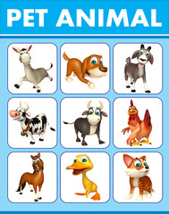  pet animal chart