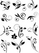 Set of small decorative calligraphic elements for design