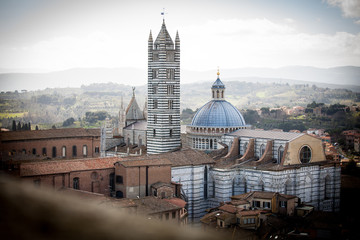 Wall Mural - Siena Cathedral in Tuscany, Italy