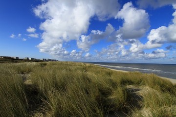 dunes of the Touquet ( France)