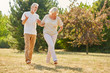 Verliebtes Paar Senioren beim Spaziergang