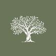 Beautiful magnificent olive tree silhouette on grey background. Infographic modern vector sign. 
Premium quality illustration logo design concept.