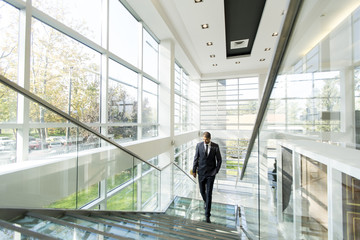 Wall Mural - Businessman