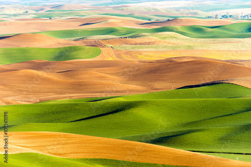 Fotografie, Obraz Palouse Region Steptoe Butte Farmland Rolling Hills Agriculture