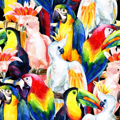 Wall Mural - watercolor parrots seamless pattern