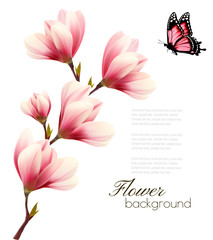 Poster - Nature background with blossom branch of pink flowers and butter