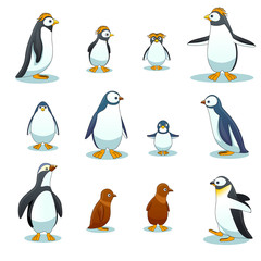 Wall Mural - Penguins characters in various poses vector set