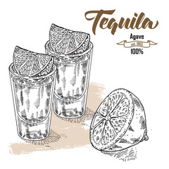 Wall Mural - Shot of tequila drink. Hand drawn two glasses of tequila. Engraved