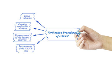 Wall Mural - Women hand writing element of Verification Procedures of HACCP for use in manufacturing