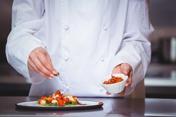 Wall Mural - Chef sprinkling spices on dish