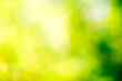 © Pakhnyushchyy - green bokeh background