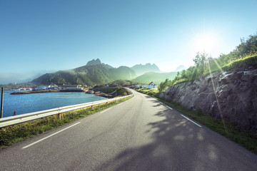Wall Mural - road and mist, lofoten islands, norway