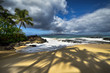 Shadows of palm trees at Secret beach, Maui, Hawaii, USA