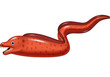 Illustration of Moral eel