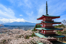 Mt Fuji, Chureito Pagoda Or Red Pagoda With Sakura.