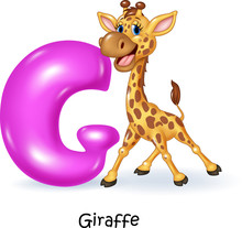 Illustration Of G Letter For Giraffe