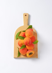 Wall Mural - Fresh apricots