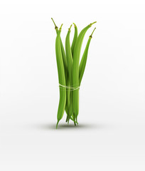 Wall Mural - vector green beans bound sheaf isolated on white background