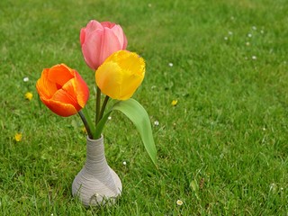 Tulip. Bouquet of tulips in grass.