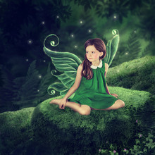 Little Fairy Girl