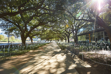 Wall Mural - Houston Discovery green park in downtown