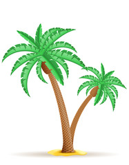 Wall Mural - palm tree vector illustration