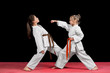 © fakezzz - Two girls in kimono are training paired exercises karate
