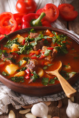 Poster - Traditional Hungarian goulash soup bogracs close-up in a bowl. Vertical
