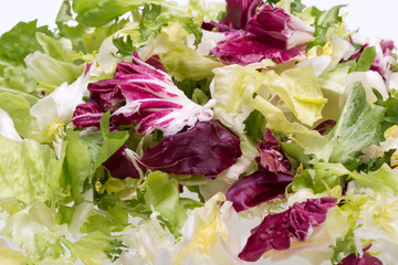  Green and red leaf of lettuce . Isolated on a white background