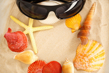 Wall Mural - Sunglasses, seastar and seashells in sand